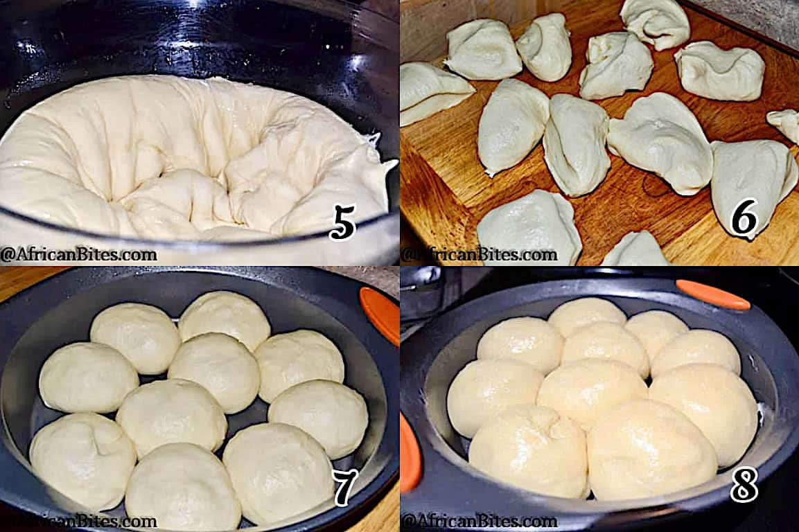 Punch down the dough, divide it into 12 pieces, knead them into rolls, let them rise, then bake them.