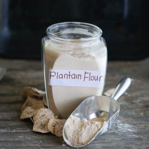 Scooping out homemade plantain flour from the jar