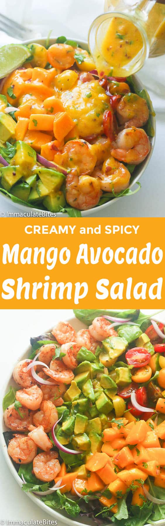 Mango Avocado Shrimp Salad & Mango Dressing