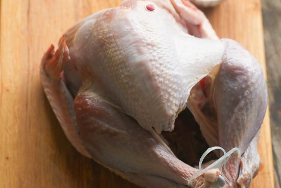 spiced herb turkey