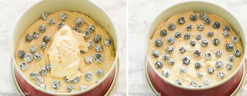 Blueberry Lemon Cake