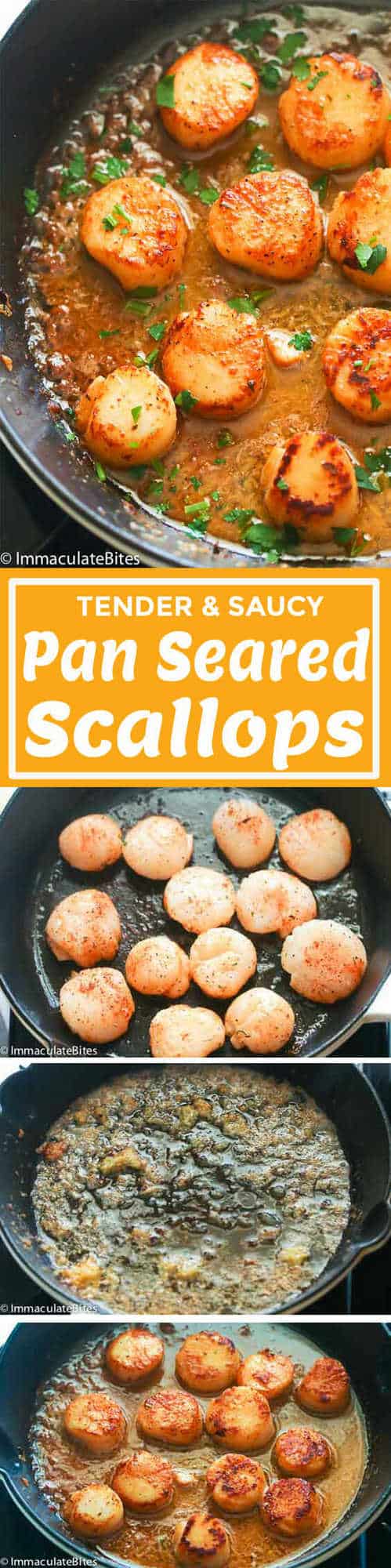 Pan Seared Scallops