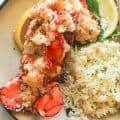 8 Scrumptious Lobster Recipes