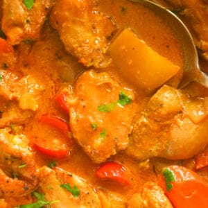 Closeup of Jamaican chicken curry