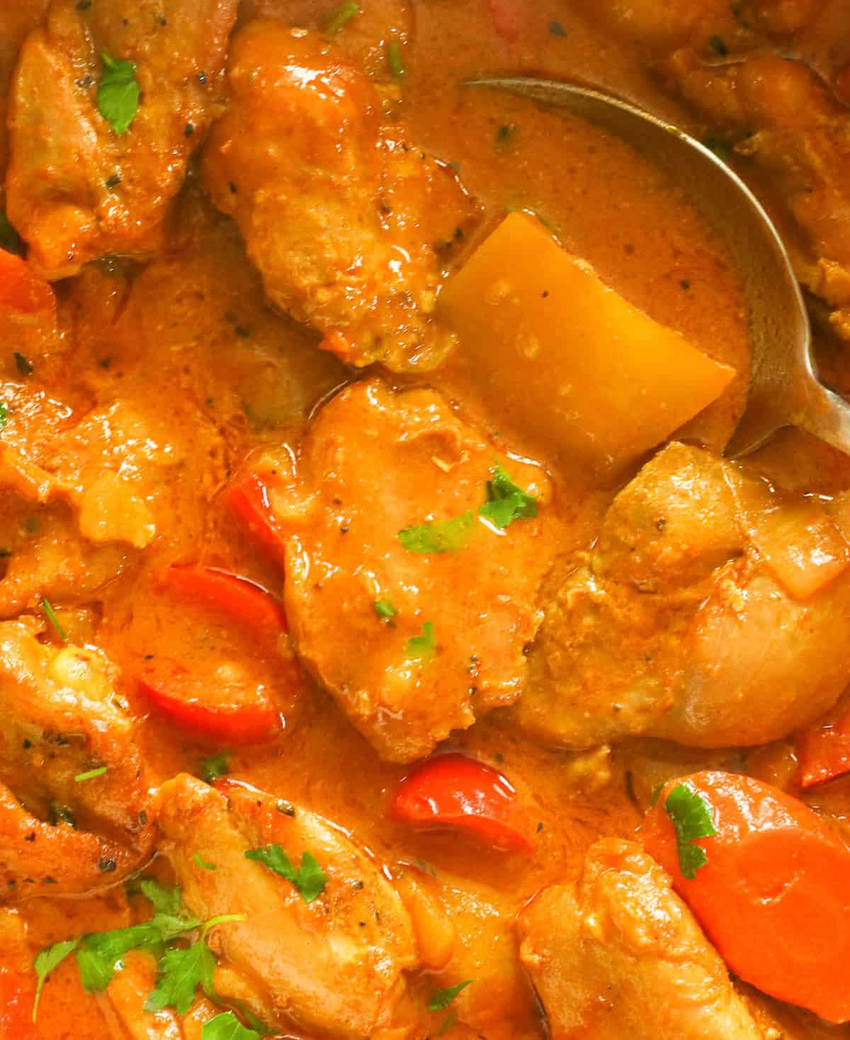 Closeup of Jamaican chicken curry