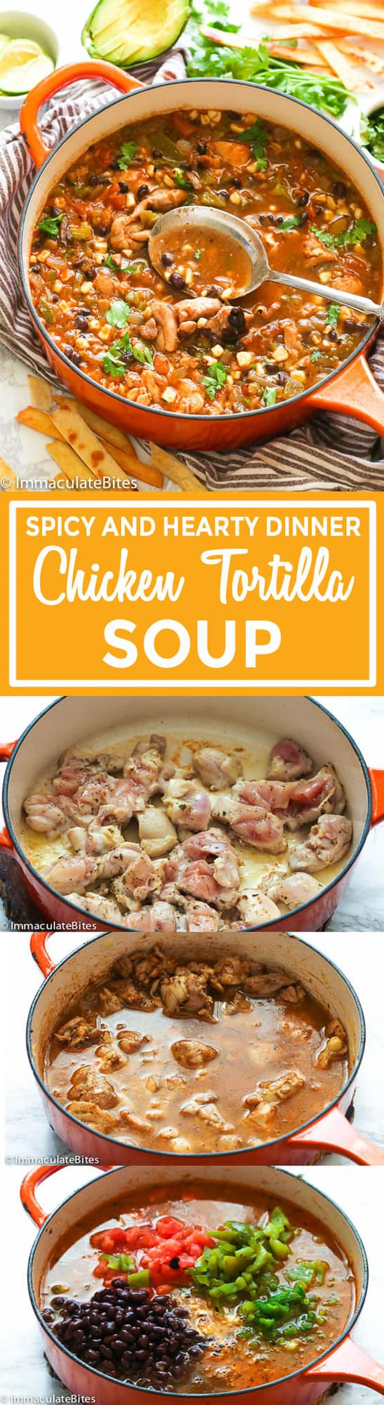 Chicken Tortilla Soup