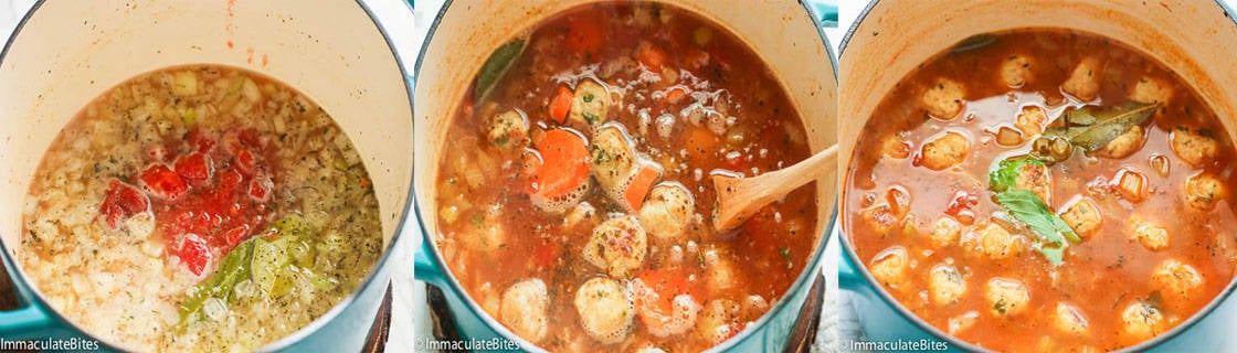 Chicken Meatball Soup.4