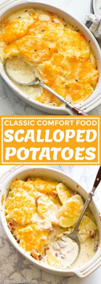 Scalloped Potatoes and Ham - Immaculate Bites