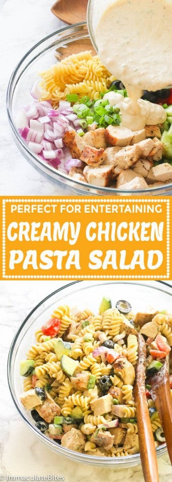 Creamy Chicken Pasta Salad - Immaculate Bites