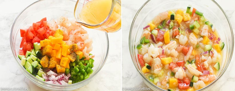 Shrimp Ceviche.3