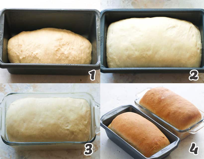 Homemade Bread Dough