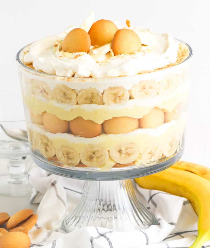 homemade banana pudding with bananas in the background
