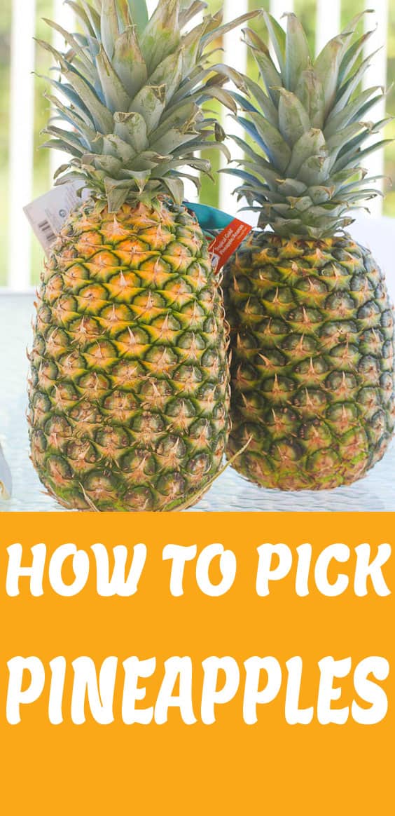 How to Pick Pineapple