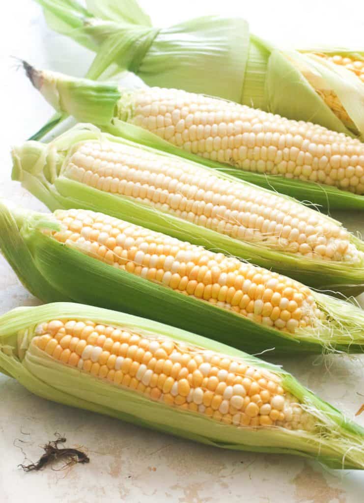 OvenRoasted Corn on the Cob Immaculate Bites