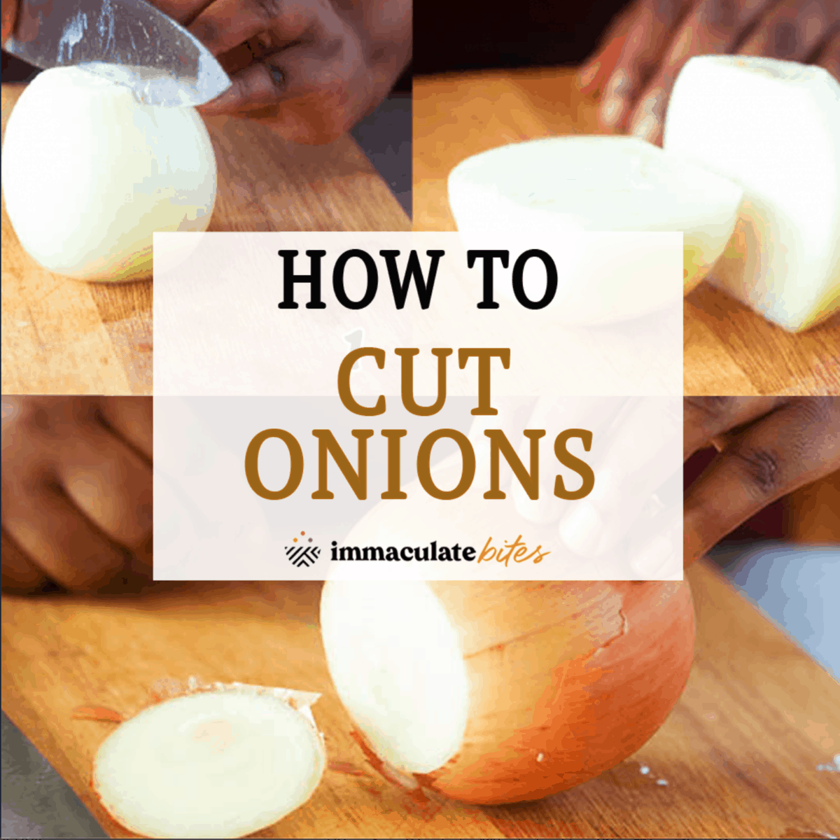 How to Cut an Onion - Pinch of Yum