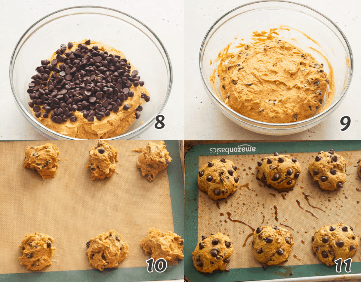 pumpkin chocolate cookie