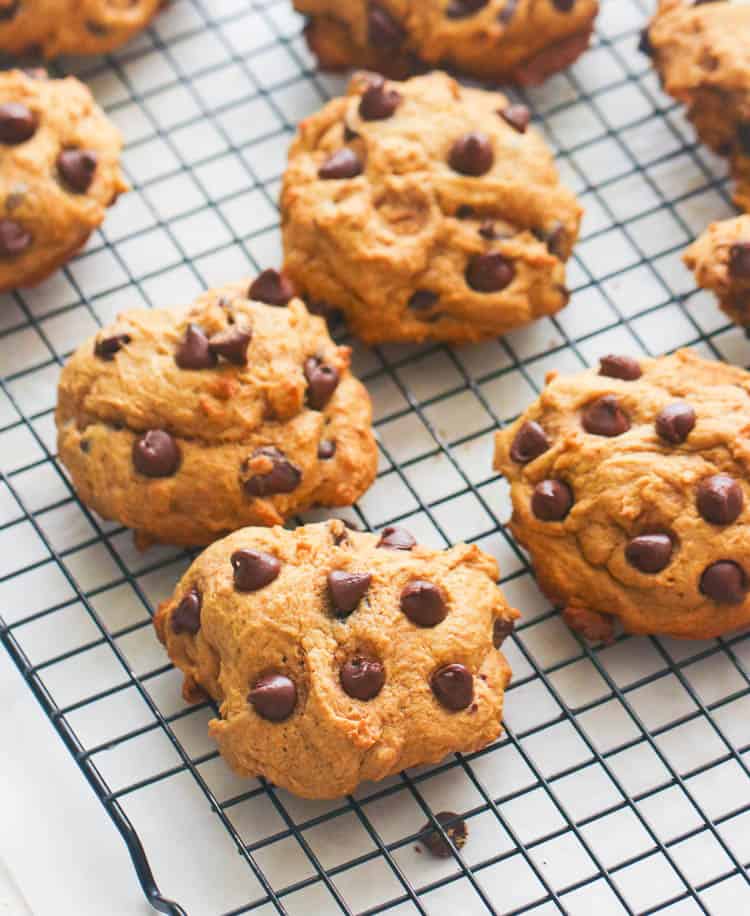 Pumpkin Chocolate Chip Cookies