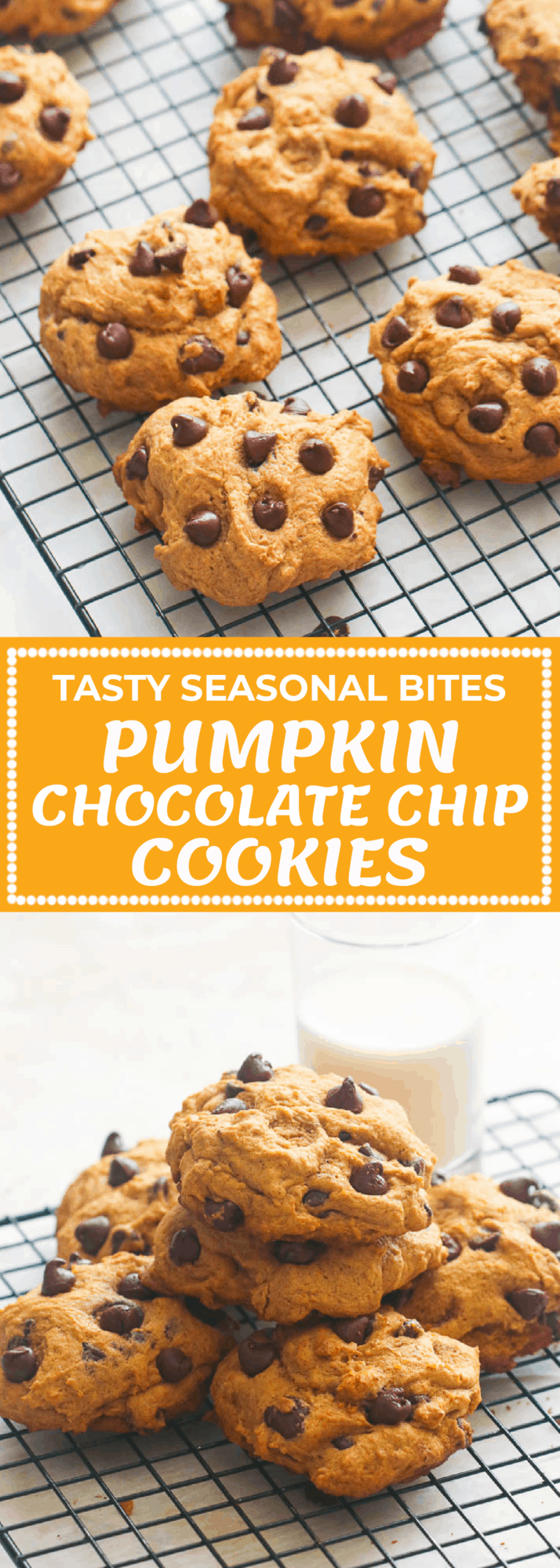 Pumpkin Chocolate Chip Cookies