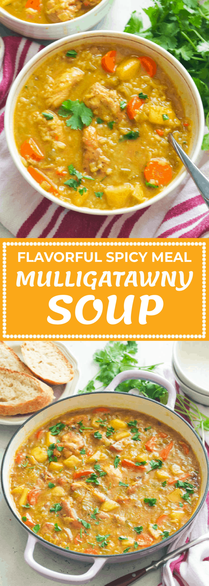 Mulligatawny Soup