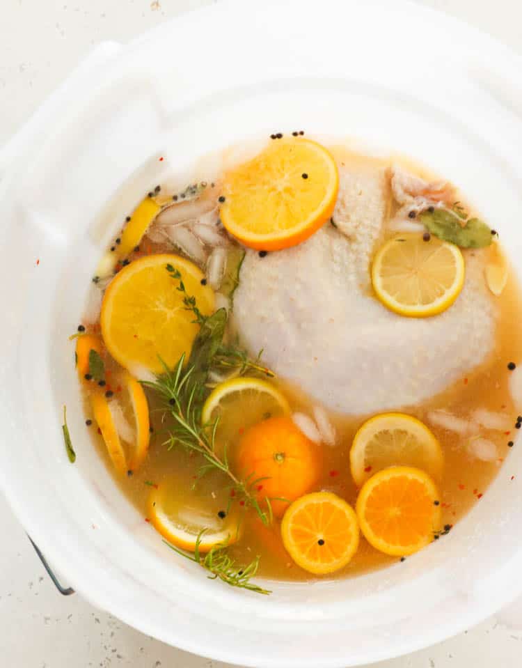 Brined Turkey in a White Container