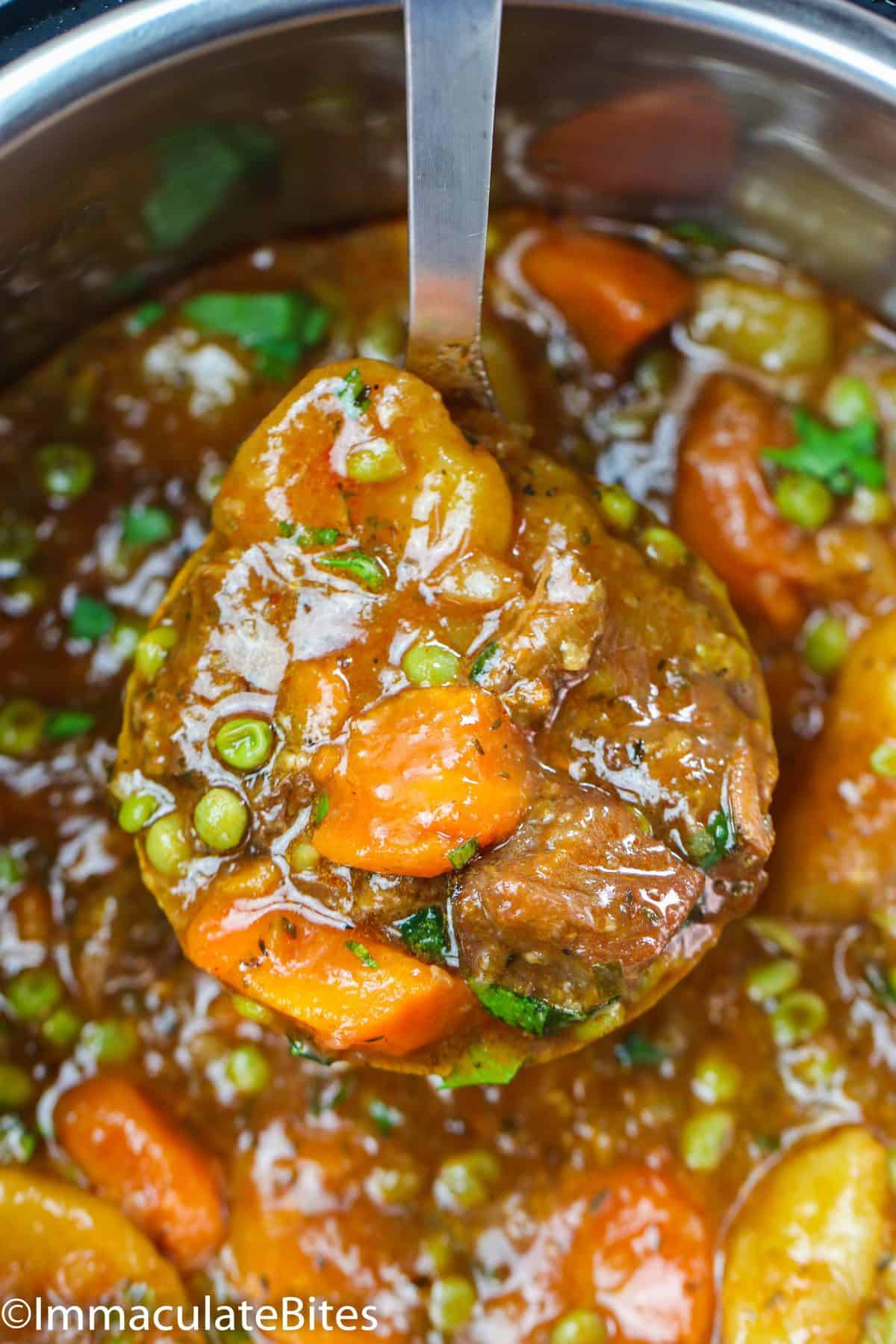 A Laddle of Instant Pot Beef Stew