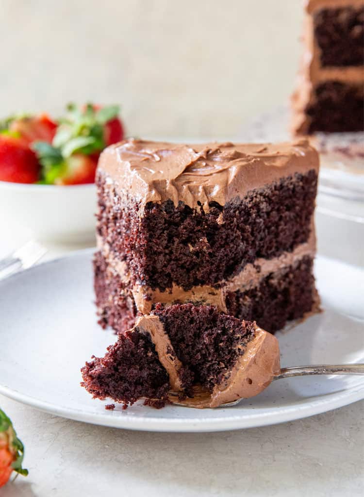 A Slice of Devil's Food Cake