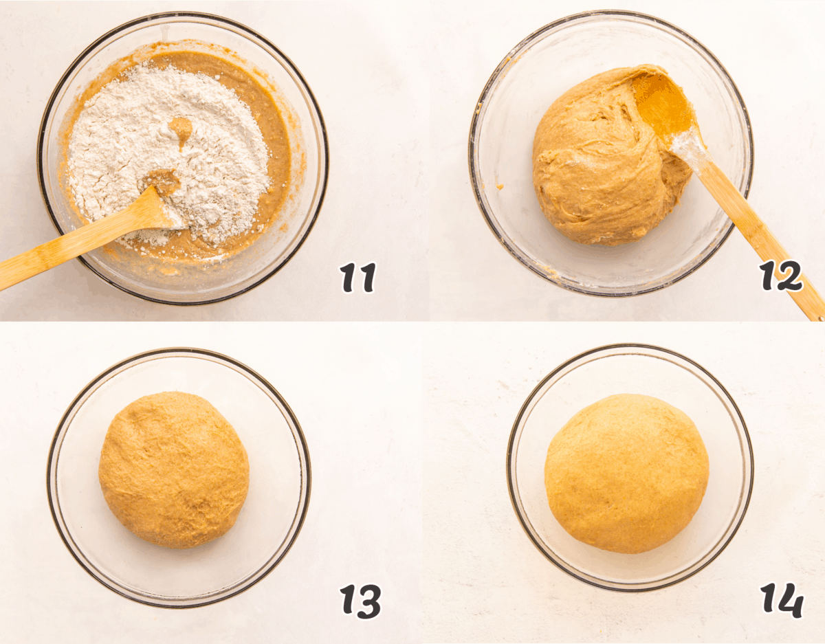 How to Make Honey Wheat Roll