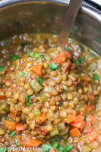 Laddled Instant Pot Lentil Soup