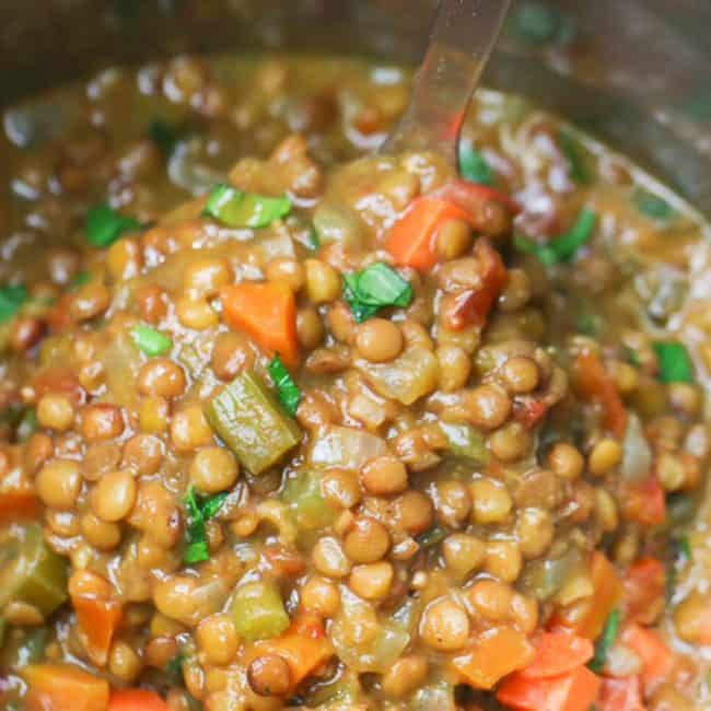 Laddled Instant Pot Lentil Soup