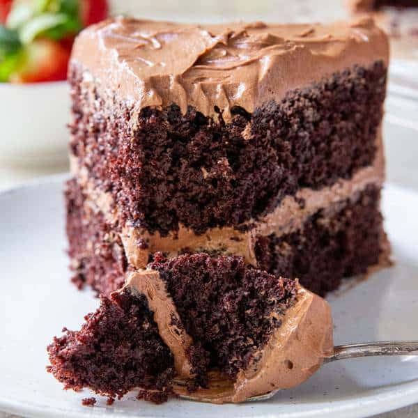 Devil's Food Cake Slice SQR
