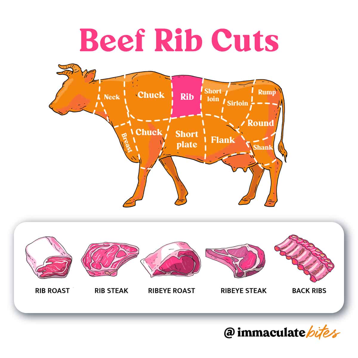 Beef Cuts - Rib
