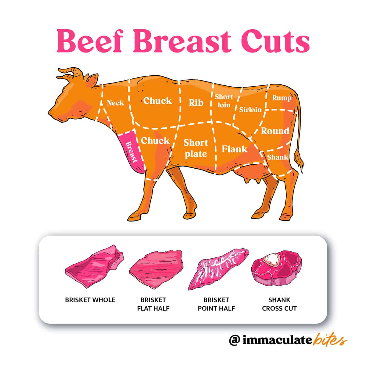 Beef Cuts - Breast