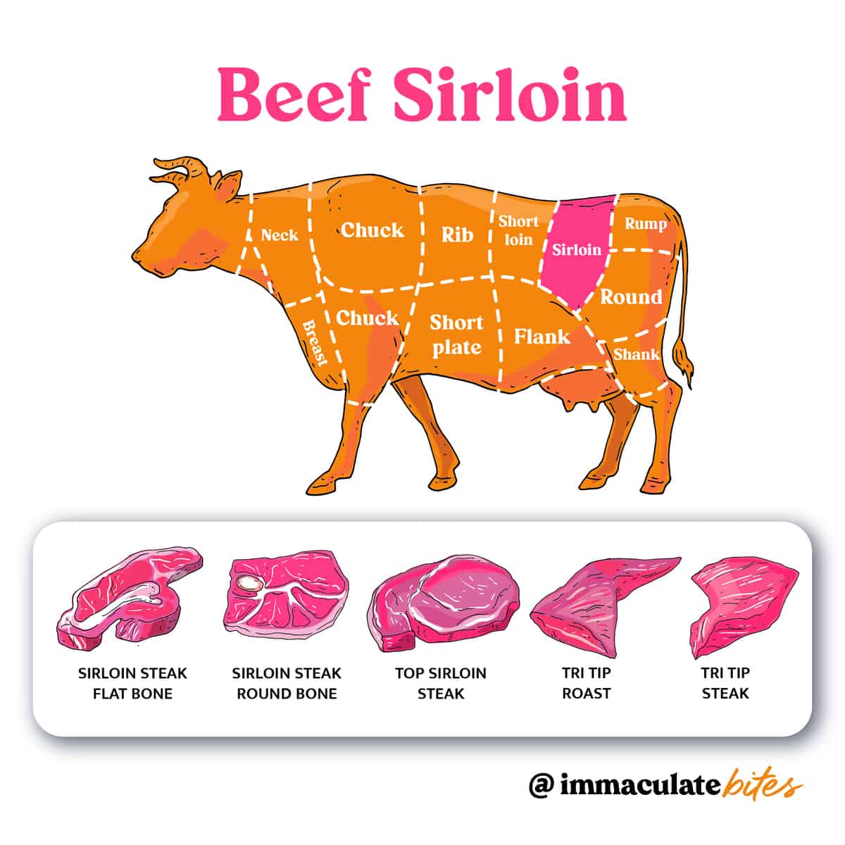 Beef Cuts - Sirloin