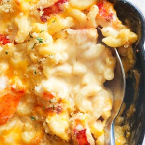 Lobster mac and cheese closeup