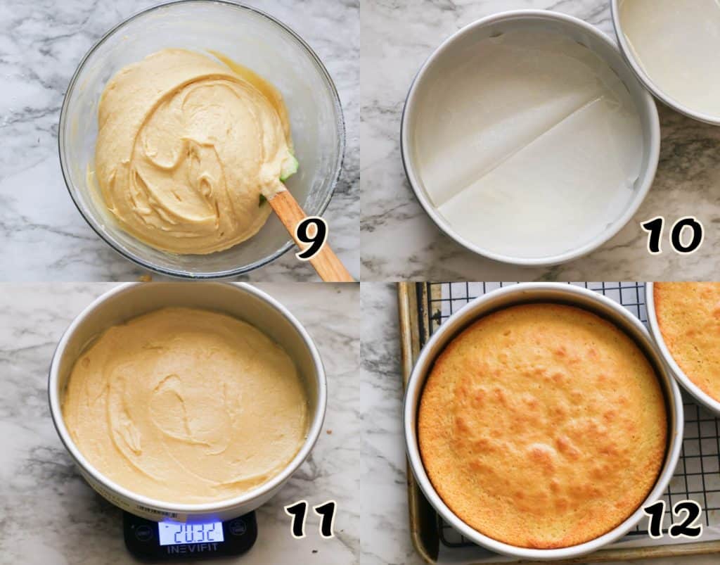 Dividing and Baking the Batter for Sponge Cake