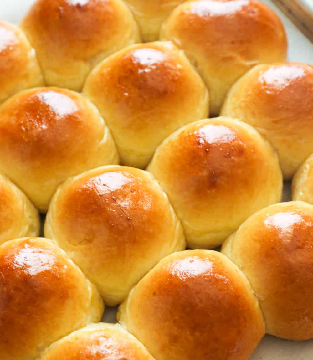 Easy Potato Rolls Recipe