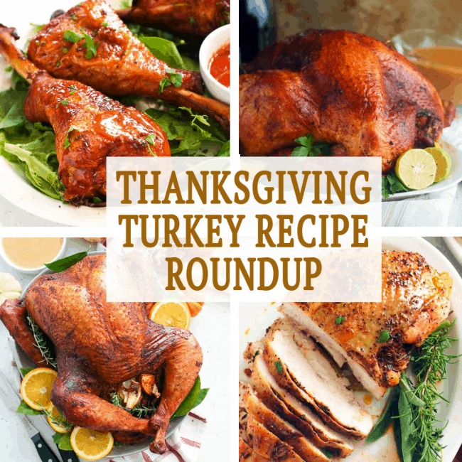 Thanksgiving Turkey Recipe Roundup - Immaculate Bites