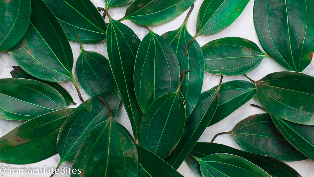 Bay Leaf Substitute