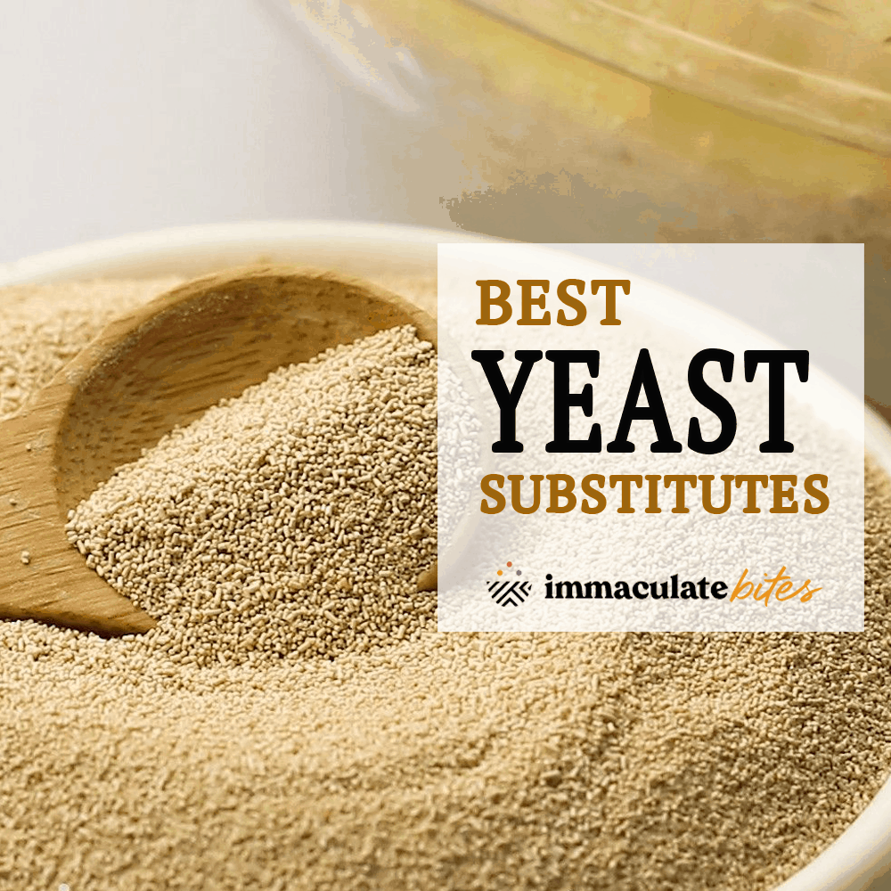 Best Yeast Substitutes