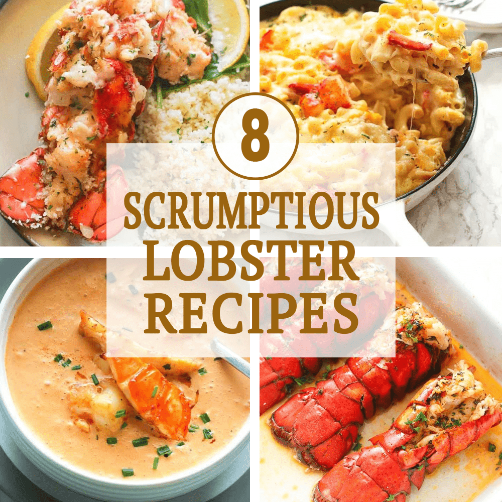 8 Scrumptious Lobster Recipes