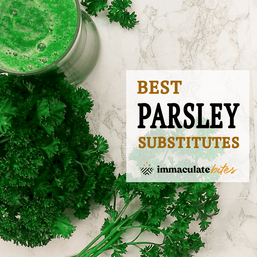 Parsley Substitute Immaculate Bites Parsley Substitute Immaculate Bites