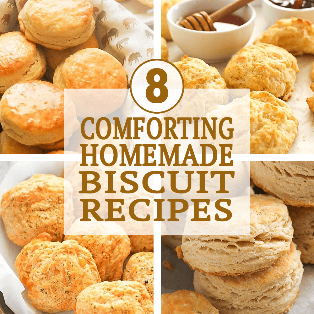A collage of 8 Comforting Homemade Biscuit Recipes