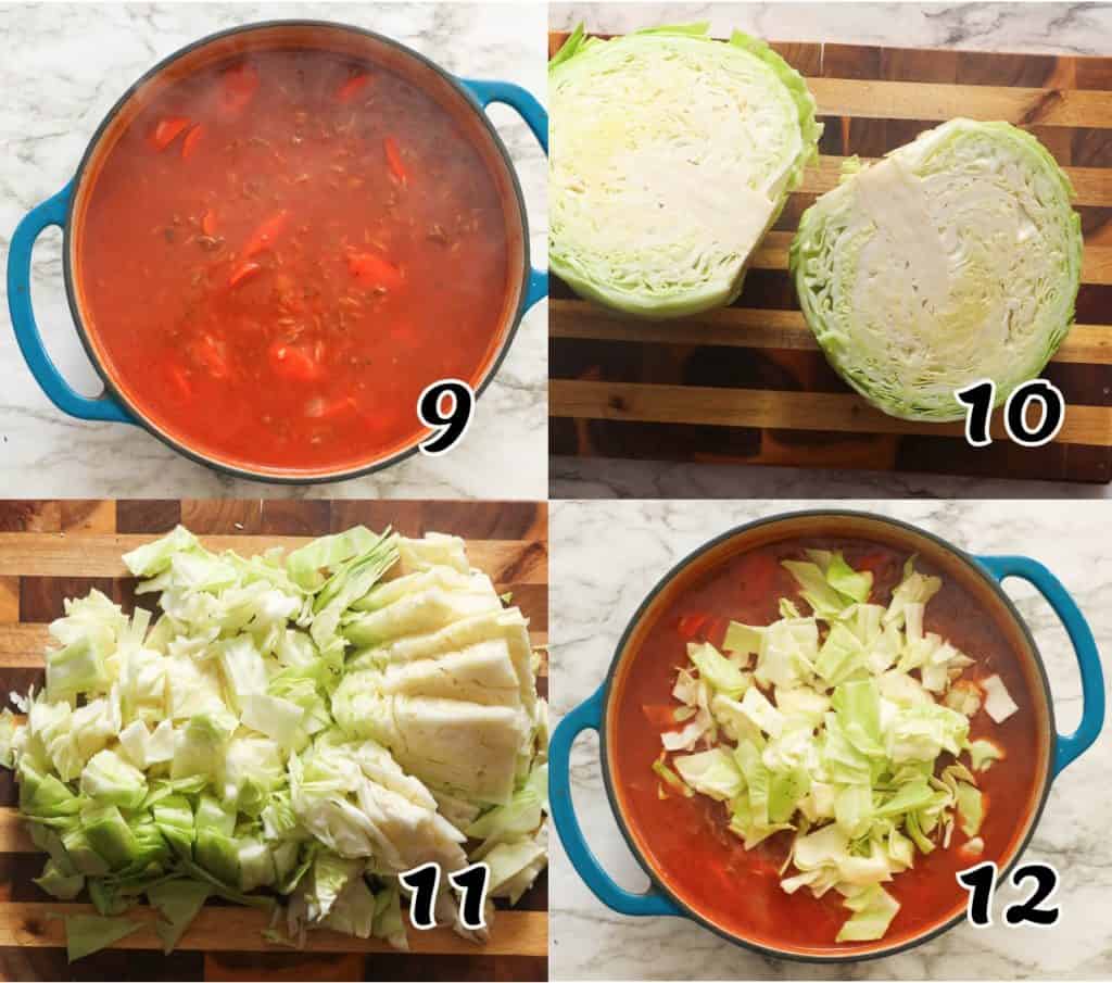 Cabbage Rolls Soup 9-12