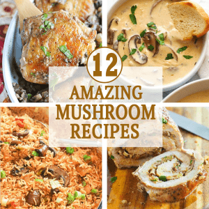 amazing mushroom recipes