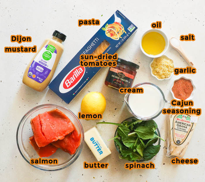 flat-lay shot of salmon pasta ingredients