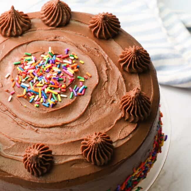 Yellow cake with chocolate frosting and sprinkles