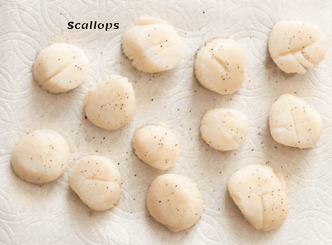 Scallops sprinkled with salt and pepper