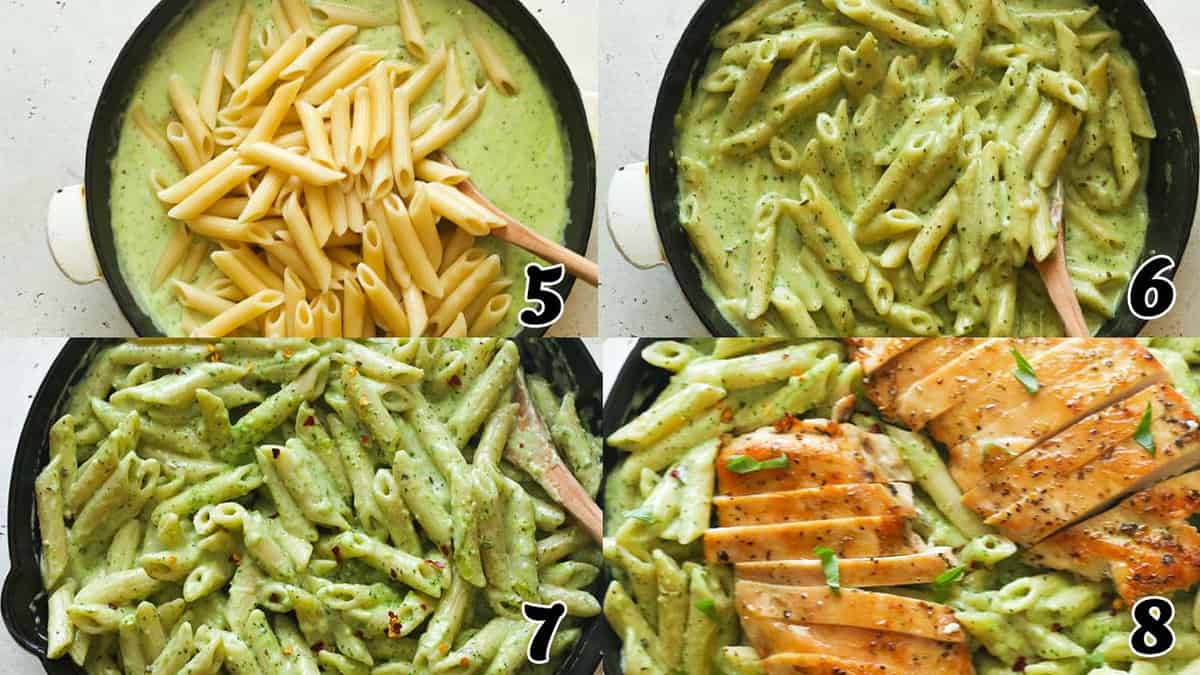 Penne, sauce, protein assembly
