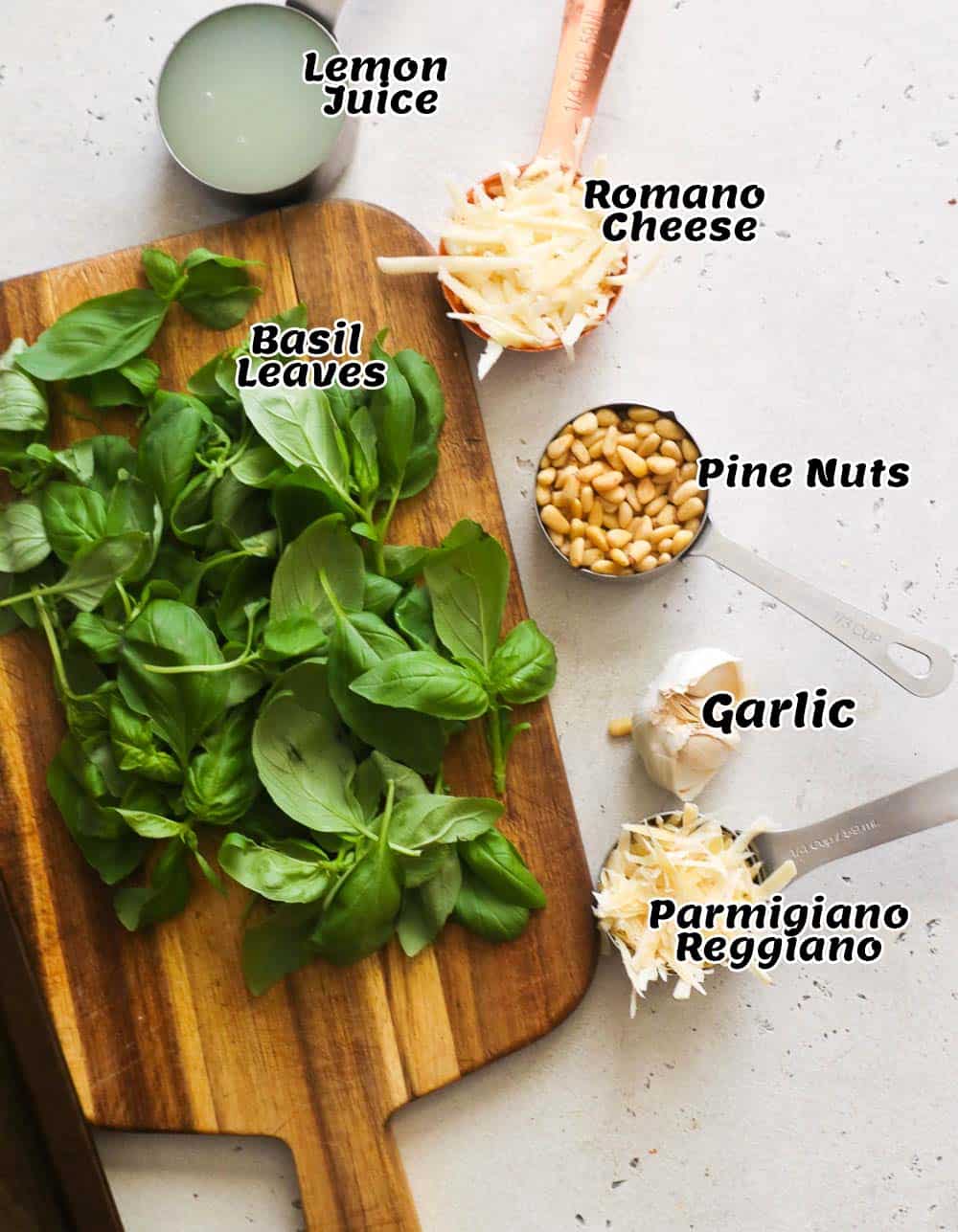 Pesto Recipe Ingredients