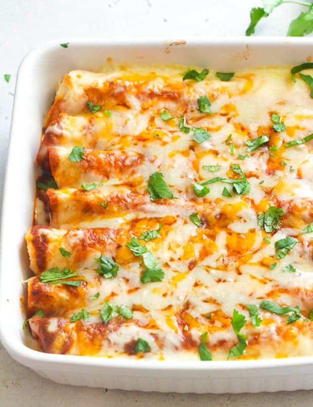 Chicken  Enchiladas covered with melted cheese and garnished with cilantro for awesome street food